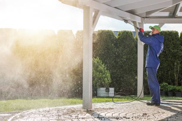 Best Roof Washing  in Bald Kno, AR